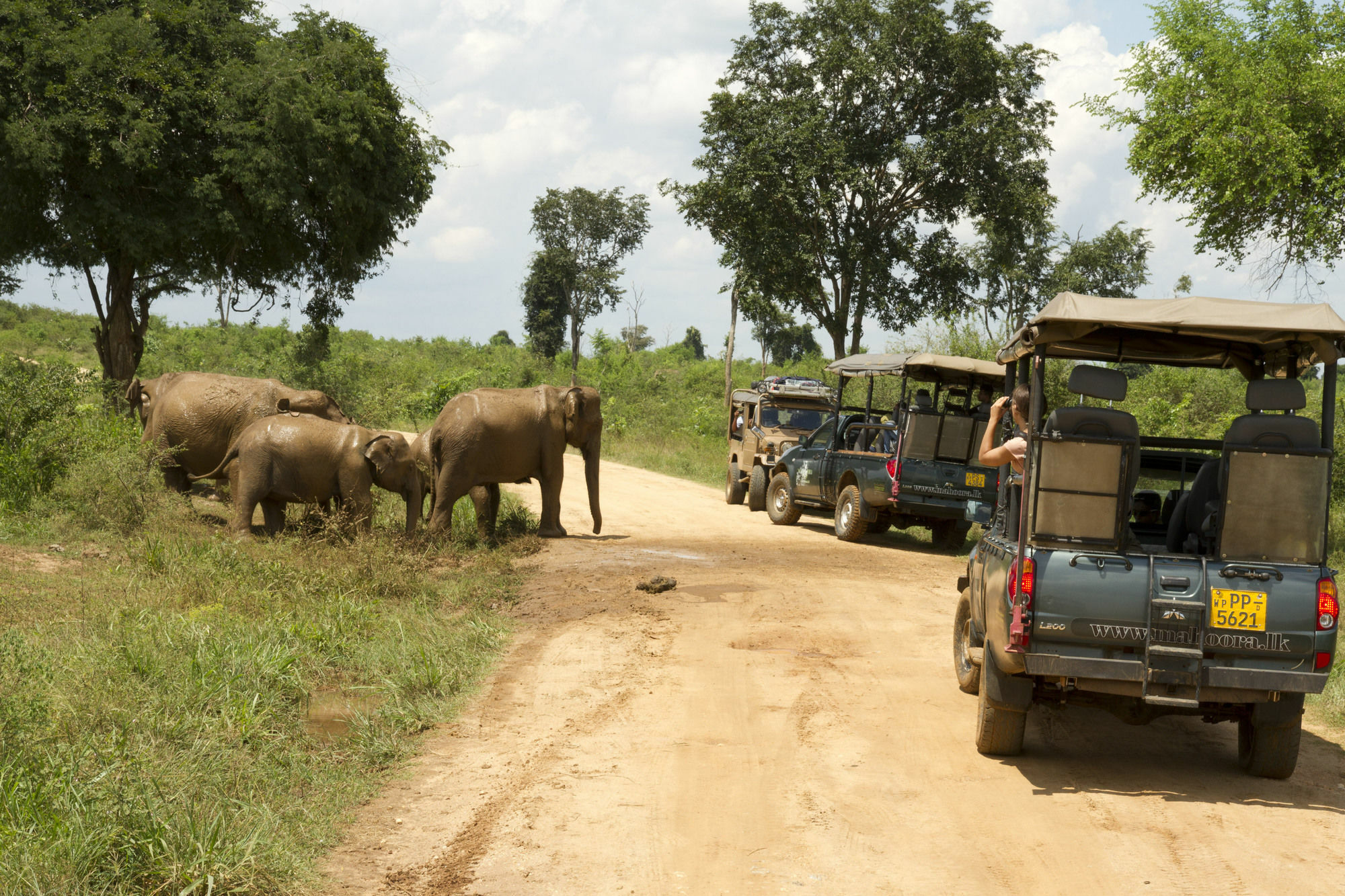 Mahoora Tented Safari Camp Удавалаве Екстер'єр фото