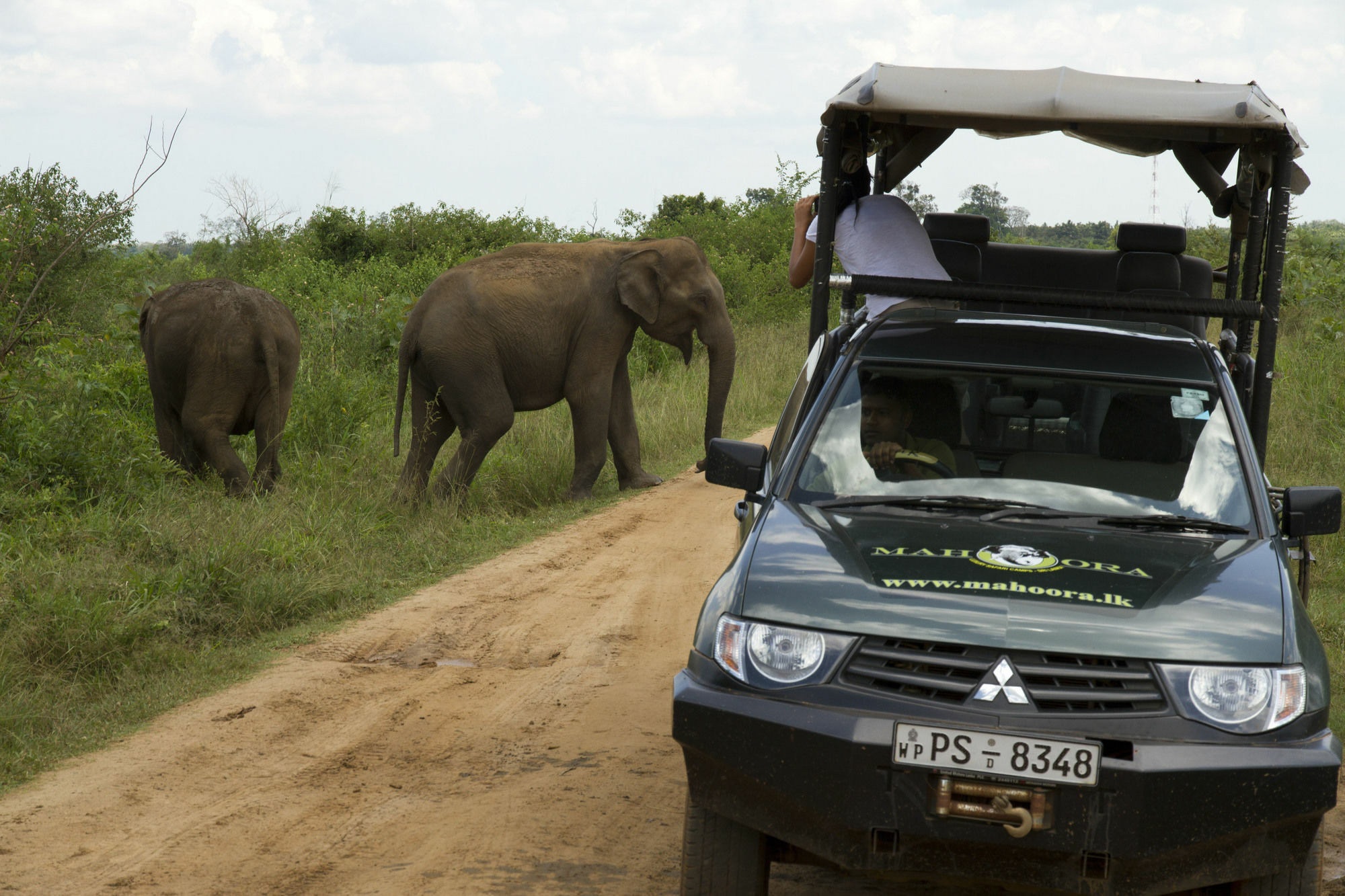 Mahoora Tented Safari Camp Удавалаве Екстер'єр фото