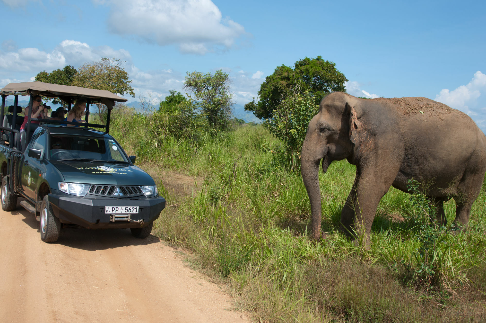 Mahoora Tented Safari Camp Удавалаве Екстер'єр фото