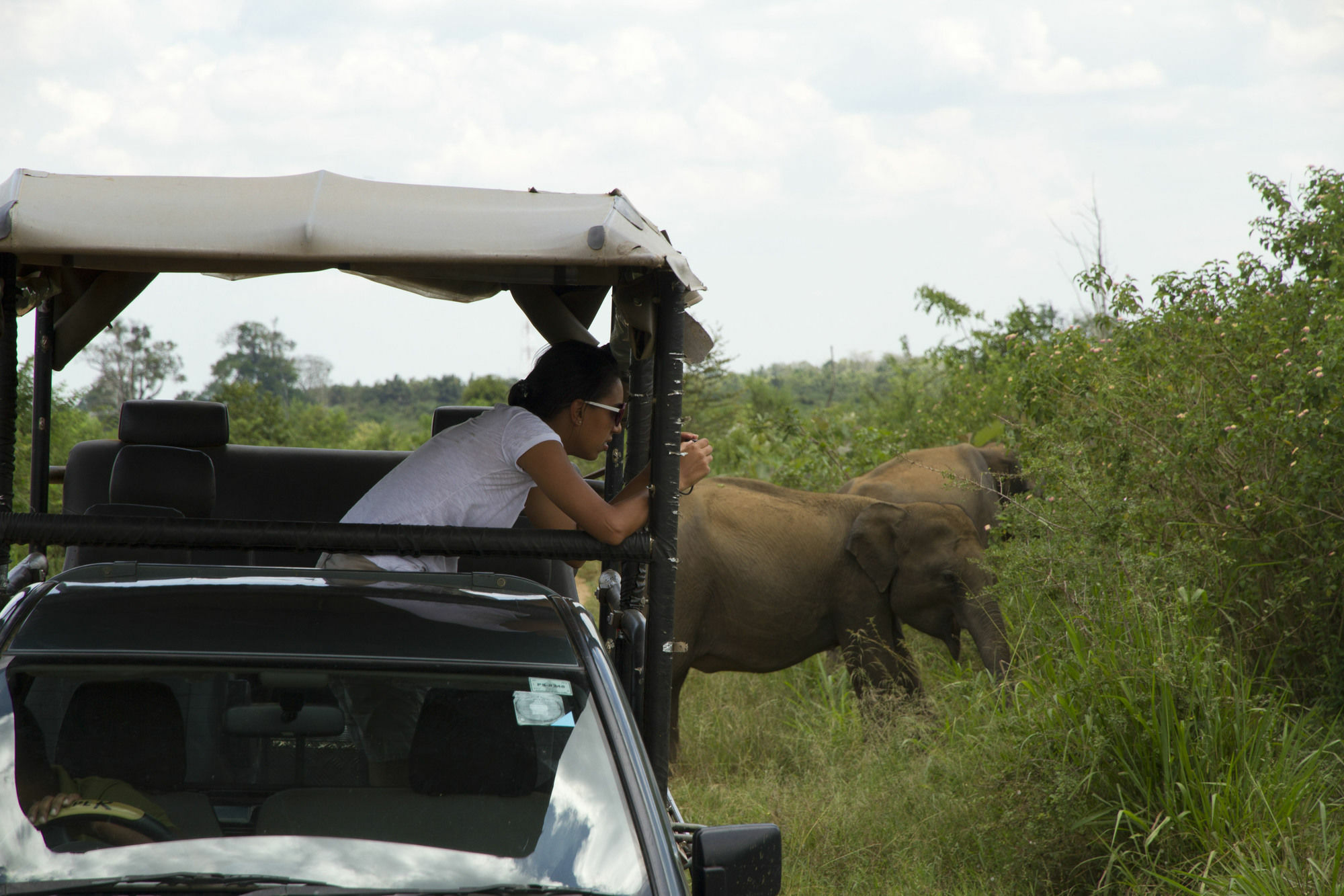 Mahoora Tented Safari Camp Удавалаве Екстер'єр фото