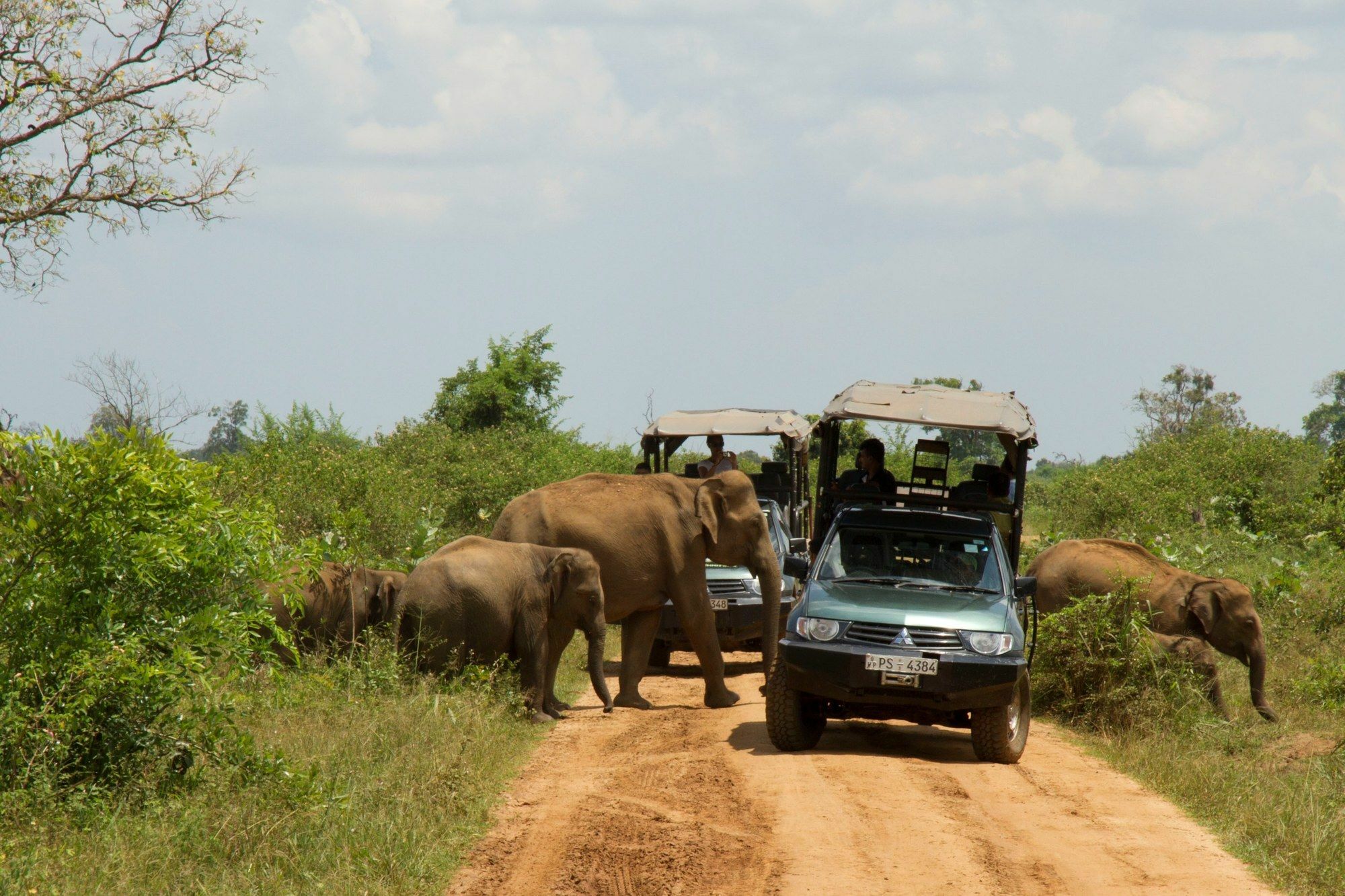Mahoora Tented Safari Camp Удавалаве Екстер'єр фото
