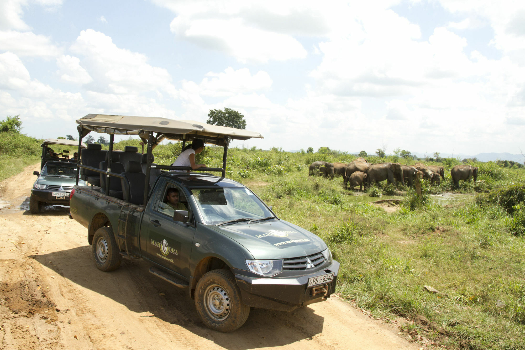 Mahoora Tented Safari Camp Удавалаве Екстер'єр фото