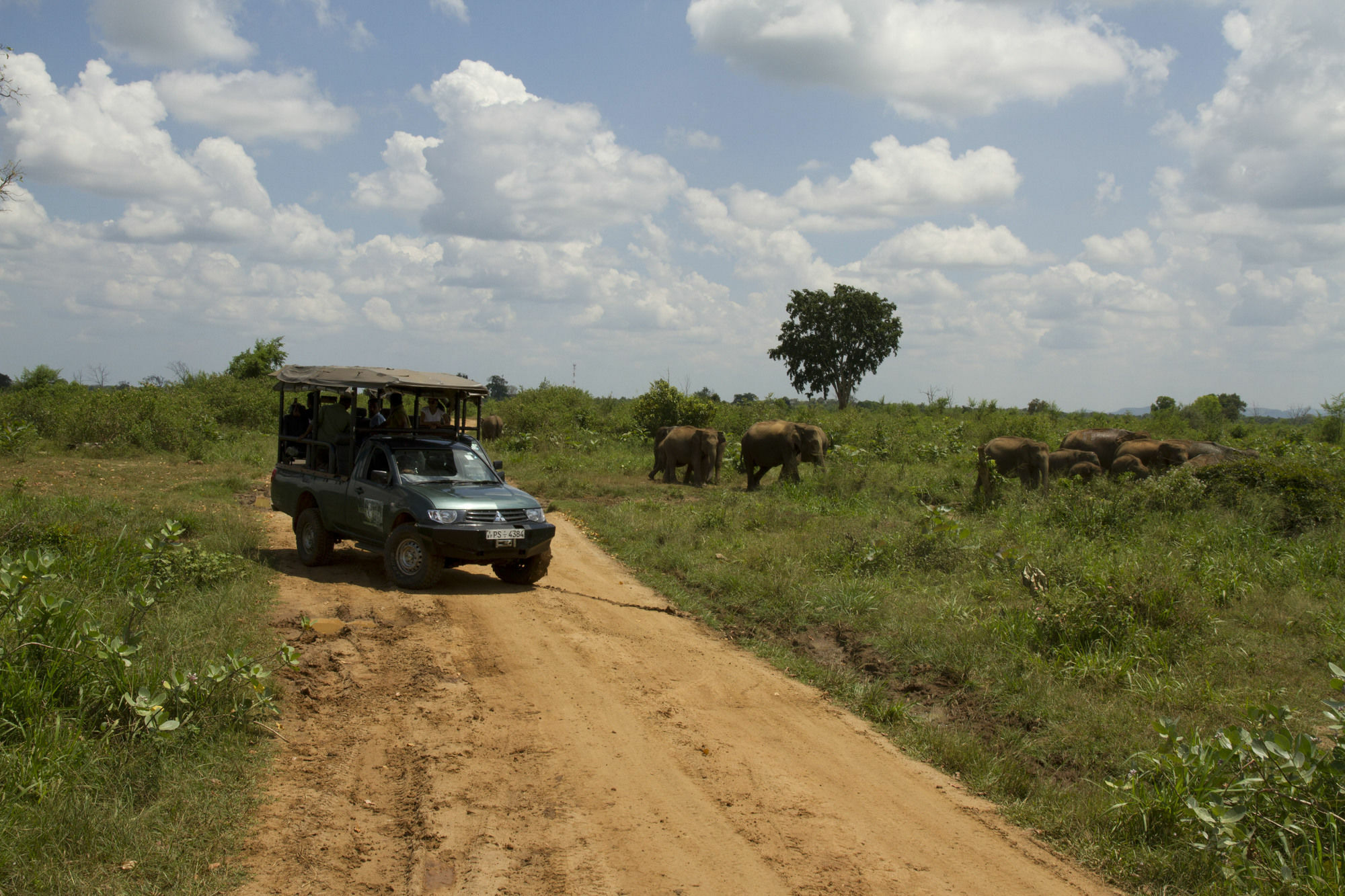 Mahoora Tented Safari Camp Удавалаве Екстер'єр фото